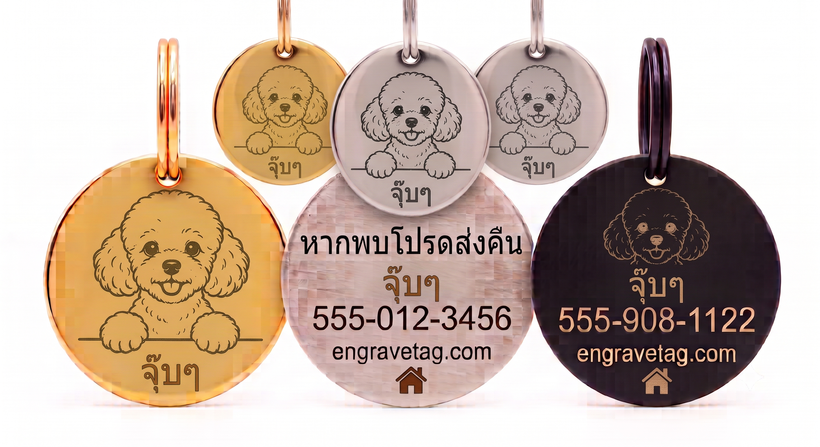 พุดเดิ้ล — Poodle
