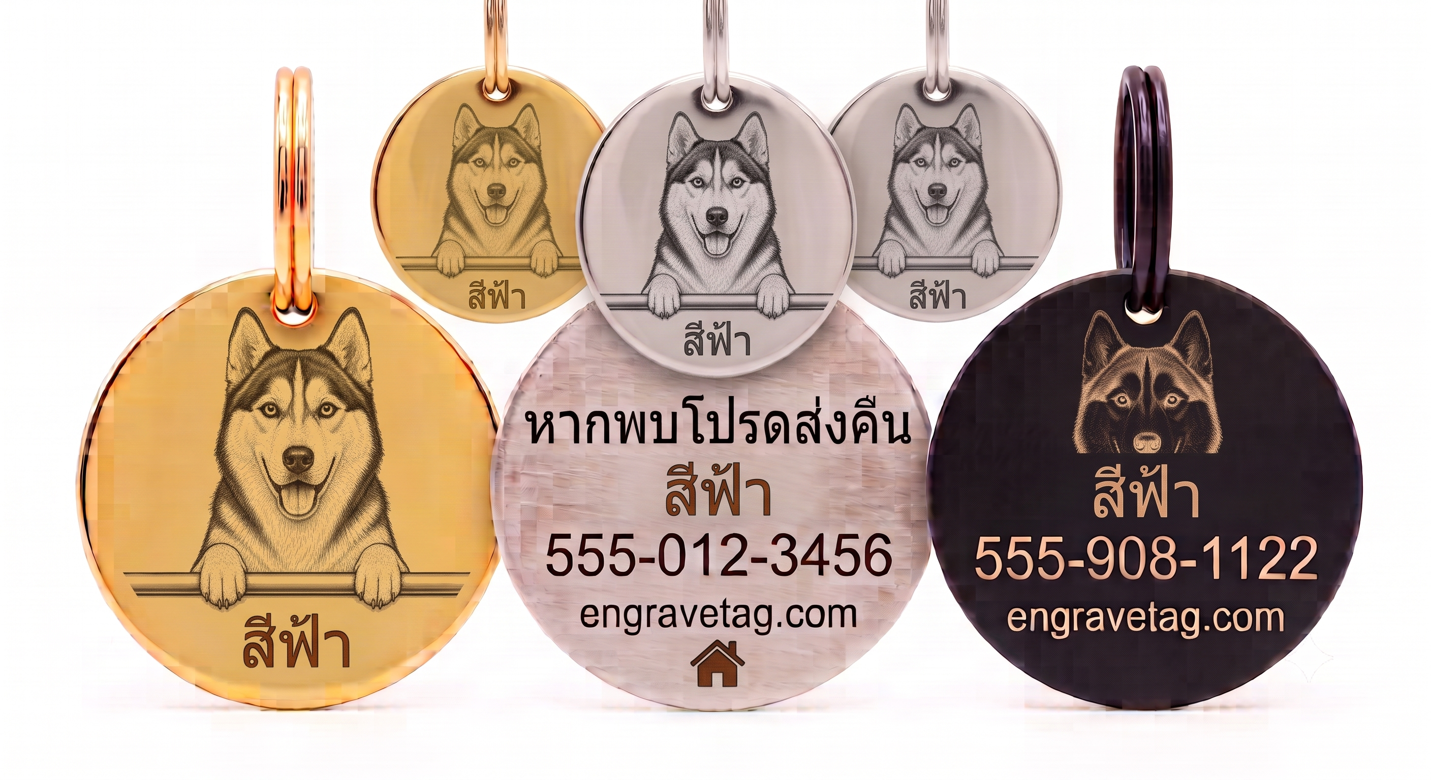 ไซบีเรียน — Siberian (Siberian Husky)