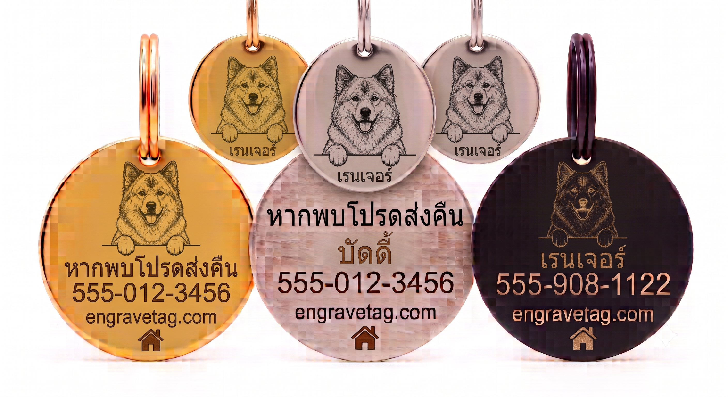 เยอรมัน เชพเพิร์ด — German Shepherd