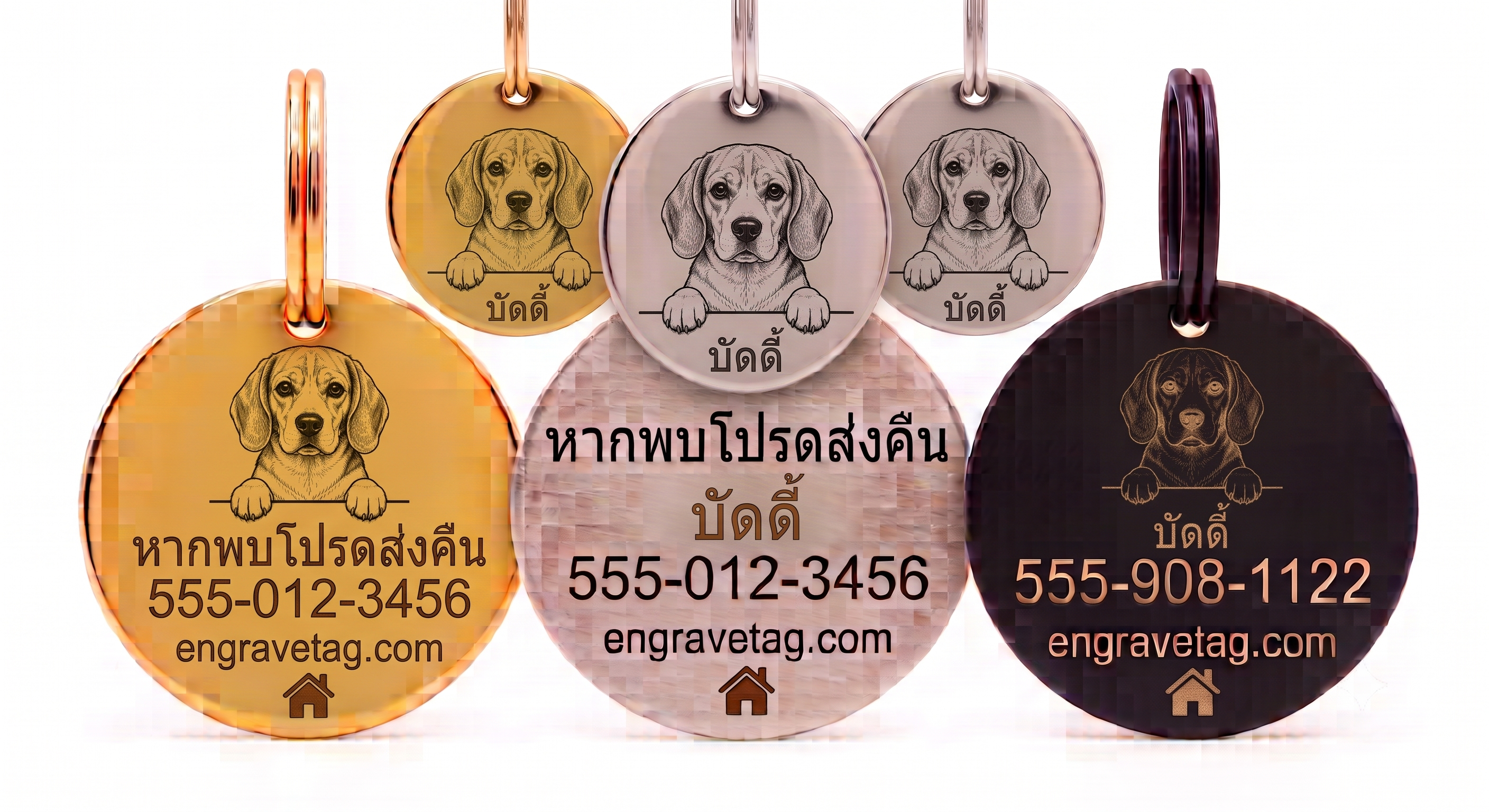 บีเกิ้ล — Beagle
