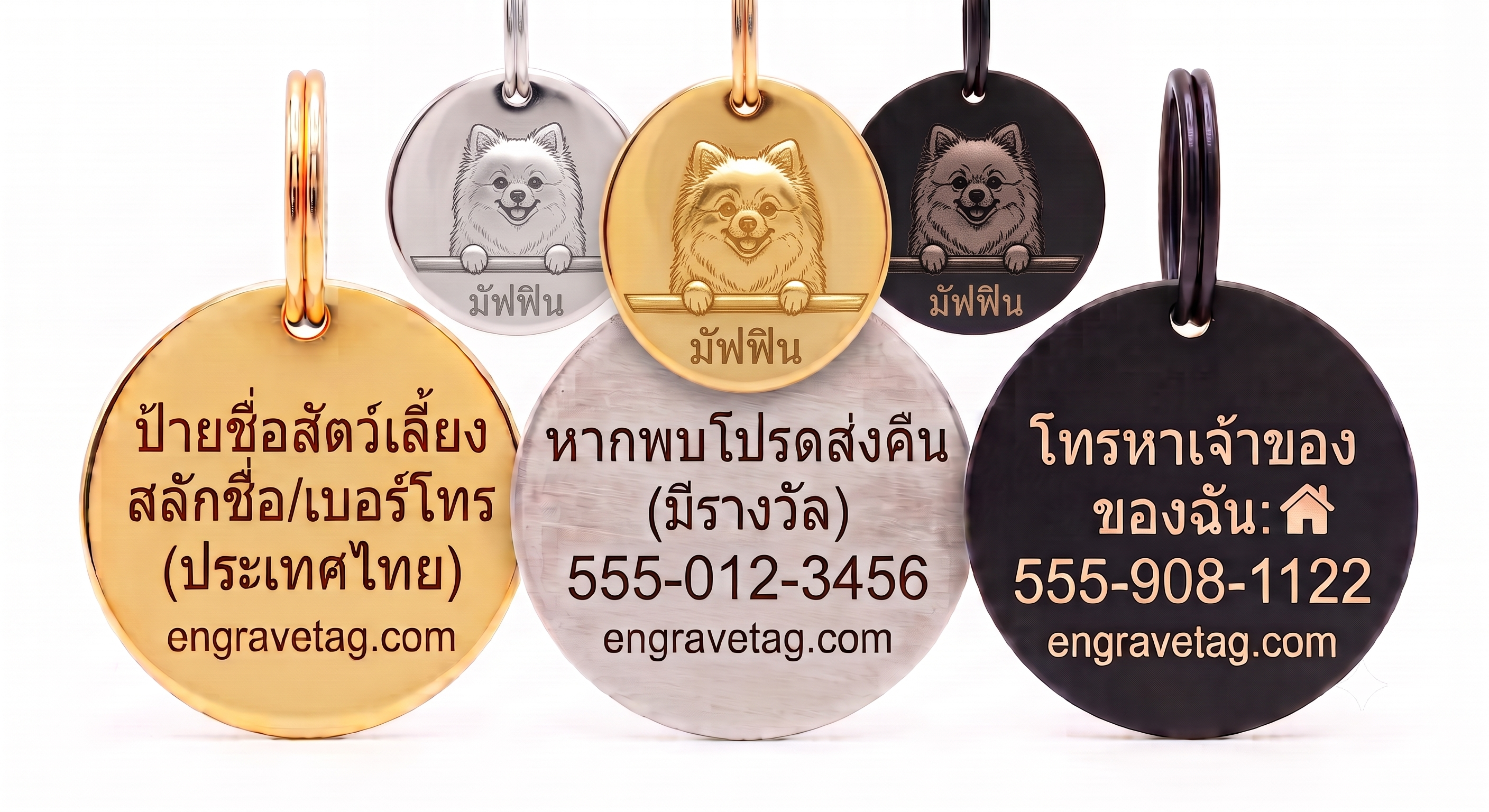 ปอมเมอเรเนียน — Pomeranian