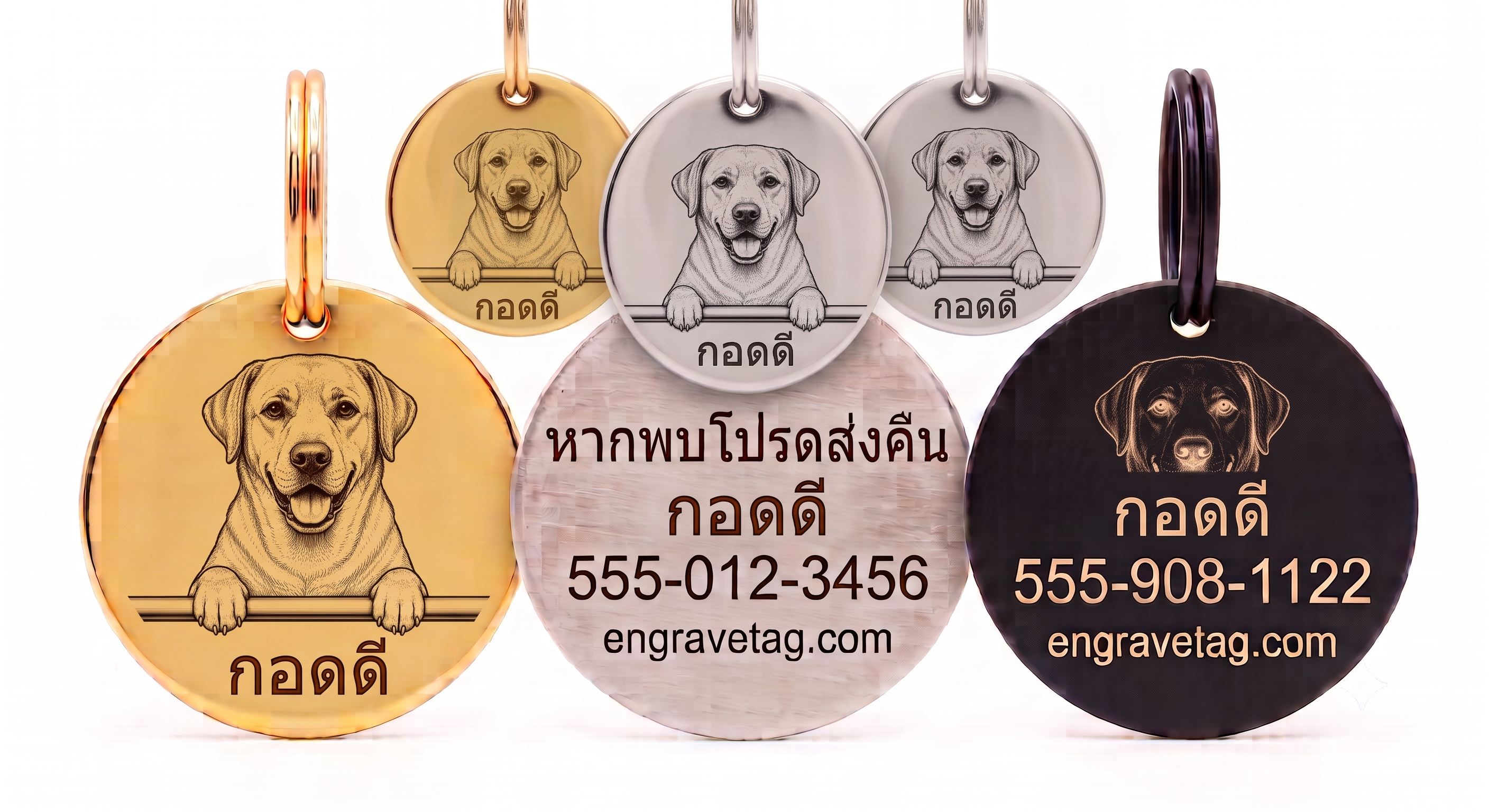 ลาบราดอร์ — Labrador