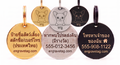 ชิวาวา — Chihuahua