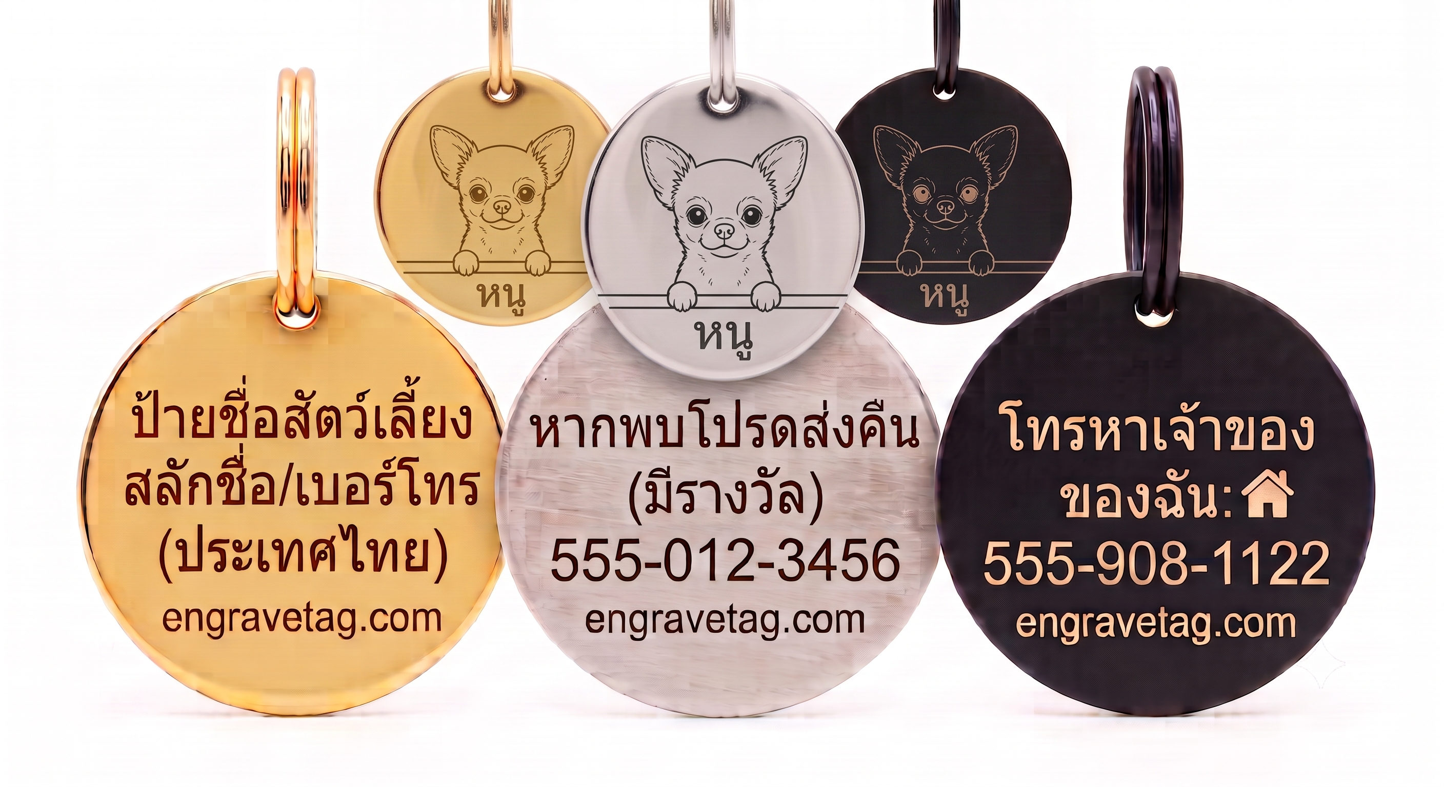 ชิวาวา — Chihuahua